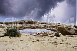 Nature of Arches National Park