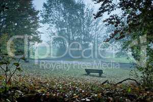 bench in mist