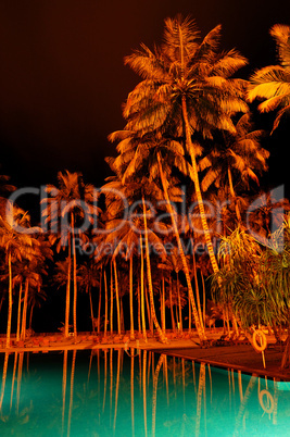 Night illumination of swimming pool and palms at luxury hotel, B