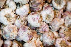 Knoblauch - Garlic