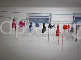 Bikini auf der Wäscheleine - Bikini hanging on a clothesline