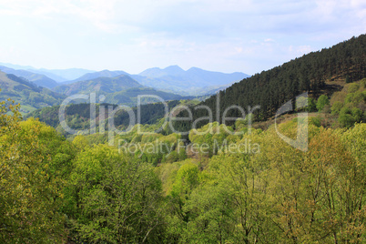 Mountain landscape