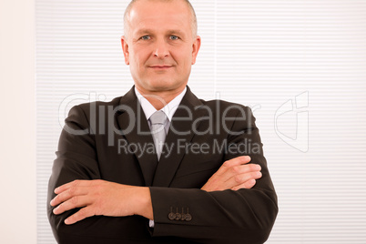 Executive mature businessman professional suit