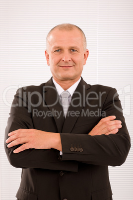 Executive mature businessman professional suit