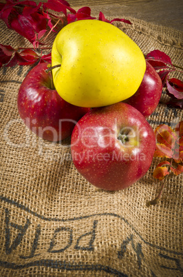 fruits fruits