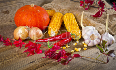 Autumn harvest