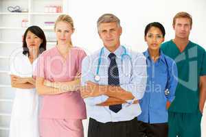 Portrait of medical professionals