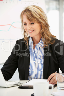 Mid age businesswoman at work