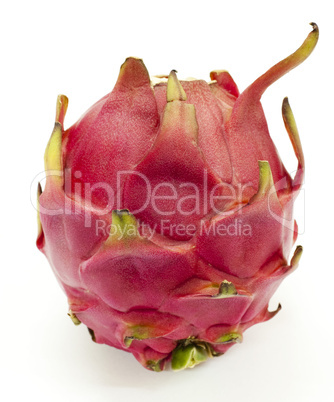 Dragon fruit.