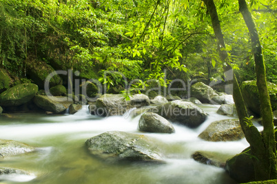 mountain river with stream