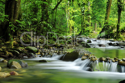 Mountain stream