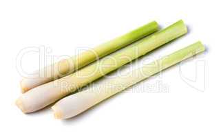 Lemon Grass