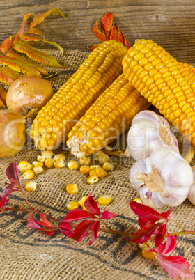 Autumn harvest