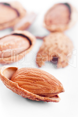 Almond Nuts