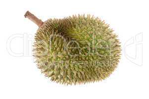 Tropical fruit - Durian