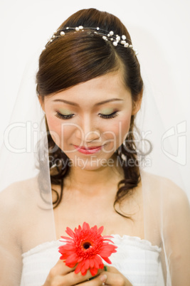 Asian bride