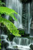 Garden waterfalls