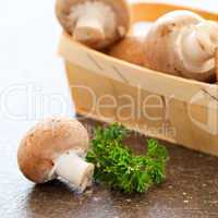 frische Pilze / fresh mushrooms