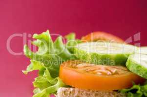 healthy sandwich