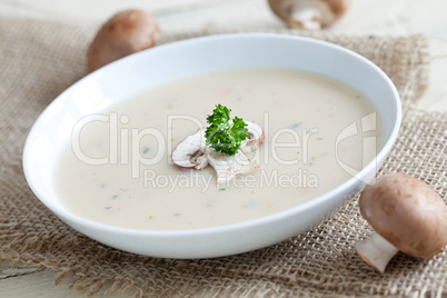 frische Pilzsuppe / fresh mushroom soup