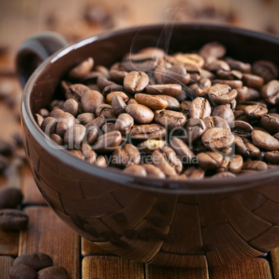 frische Kaffeebohnen / fresh coffee beans