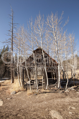 Old abandoned home shack