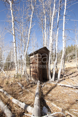 Abandoned Outhouse