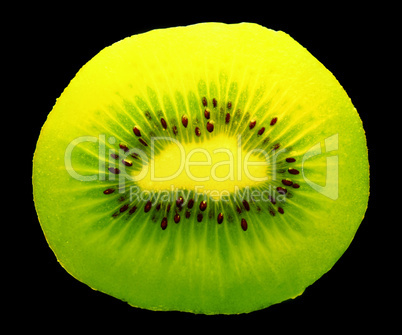 kiwi on black