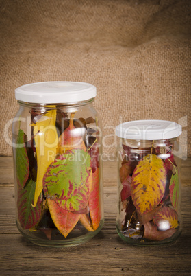 Preserved autumn