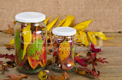 Preserved autumn