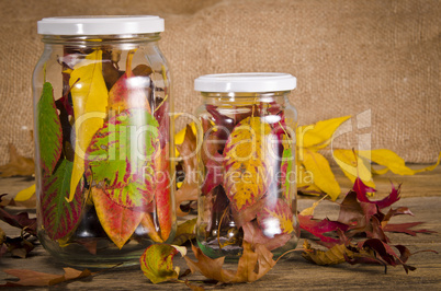 Preserved autumn