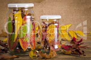 Preserved autumn