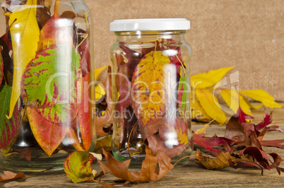 Preserved autumn