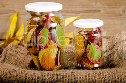 Preserved autumn