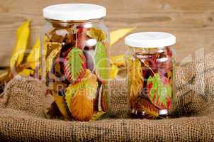 Preserved autumn