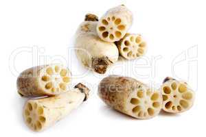 Lotus Roots