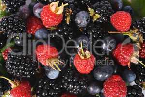 Beeren