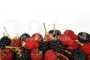 Beeren