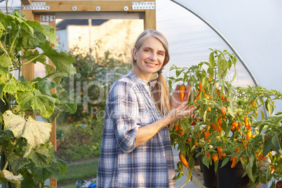 Woman working in greenhouse