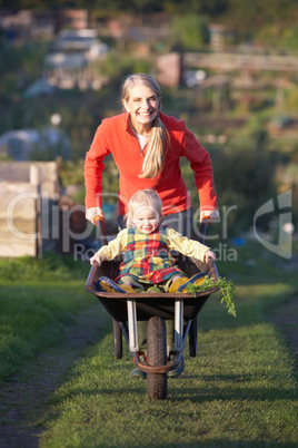 Woman working on allotment with child