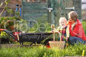 Woman working on allotment with child