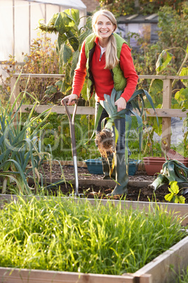 Woman working on allotment