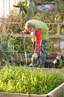 Woman working on allotment