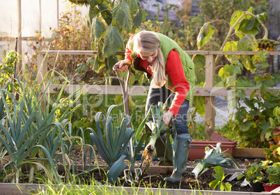 Woman working on allotment