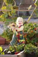 Young child on allotment