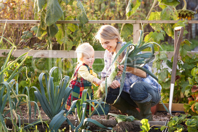 Woman working on allotment with child