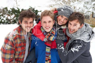 Group of young adults in snow