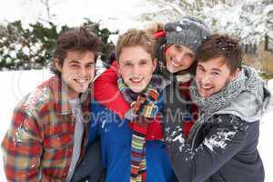 Group of young adults in snow