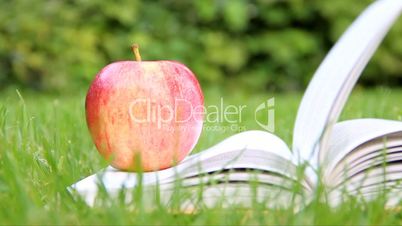 Apple on a book - relax in garden