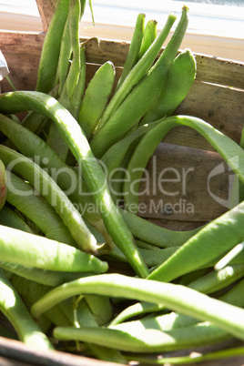 Close up basket of runner beans